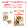 Купить French Bulldog Adult Влажный корм для взрослых собак породы Французский бульдог