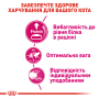 Кипити Protein Exigent - сухий раціон для дорослих котів особливо чутливих до складу корму (від 1 до 7 років)