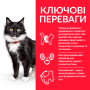 Купить SP Feline Mature Adult 7+ Sterilised Chicken Сухой корм для кошек с курицей