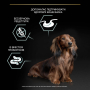 Кипити Dog Adult Grain Free Small & Mini Sensitive Digestion Turkey Сухий корм з індичкою для дорослих собак малих і мініатюрних порід із чутливим травленням