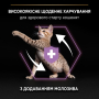 Купить Kitten Healthy Start Chicken Сухой корм с курицей для котят, беременных и кормящих кошек