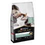 Кипити LiveClear Kitten Turkey Сухий корм для кошенят для зменшення алергенів на шерсті, з індичкою