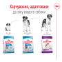Кипити Giant Adult – сухий корм для дорослих собак дуже великих розмірів (від 18 місяців)