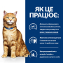 Купить PD Feline C/D Chicken Сухой корм-диета с курицей для кошек