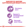 Купить Sterilised 37 - сухой корм для стерилизованных кошек (от 12 месяцев)