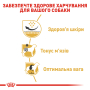 Купить Pug Adult - сухой корм для взрослых собак породы Мопс (от 10 месяцев)