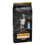 Купить Dog Adult All Size Light/Sterilised White Fish Сухой корм с белой рыбой для взрослых собак всех размеров с избыточной массой тела или стерилизованных