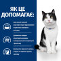 Купить PD Feline I/D Salmon Влажный корм для кошек уход за пищеварением, с лососем