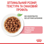 Кипити Kitten Gravy – вологий корм у соусі для кошенят на кожен день (до 12 місяців)