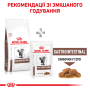 Купить Gastrointestinal - диетический сухой корм для кошек при расстройствах пищеварения