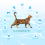 Кипити Beauty Podium Shiny Coat & Dental Care - сухий корм з морепродуктами для догляду за шерстю та зубами у дорослих котів