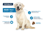 Купить Dog Maxi Adult Сухой корм для взрослых собак крупных пород с курицей и рисом
