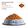 Кипити Adult Cats Indoor 4 in 1 Lamb - сухий корм з ягням для котів, що живуть в приміщенні