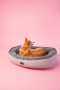 Купить Donut Soft Touch Gray Овальный лежак для собак