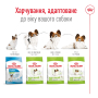 Кипити X-small Adult 8+ - сухий корм для дорослих собак мініатюрних порід (від 8 до 12 років)