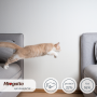 Кипити Miogatto Sensitive Monoprotein Сухий корм для котів, з лососем