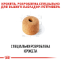 Кипити Labrador Retriever Adult - сухий корм для дорослих собак породи Лабрадор-ретрівер (від 15 місяців)