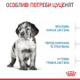 Кипити Medium Puppy - сухий корм для цуценят середніх порід (від 2 до 12 місяців)