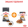 Кипити Hair & Skin Care wet in gravy Вологий корм (шматочки в соусі) для підтримки здоров'я шкіри та краси шерсті у котів (від 12 місяців)