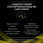 Купить Veterinary Diets HP Hepatic Диетический сухой корм для поддержания функции печени у собак