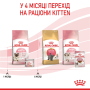 Кипити Mother & Babycat - вологий корм у мусі для кішок у період вагітності та лактації, для кошенят (від 1 до 4 місяців)