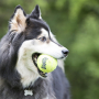 Кипити AirDog Squeakair Ball Іграшка повітряний тенісний м’яч для собак