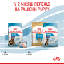 Купить Maxi Starter Mother & Babydog - сухой корм для беременных собак и щенков крупных пород (до 2 месяцев)