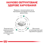Купить Diabetic - диетический сухой корм для кошек при сахарном диабете