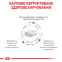 Кипити Hepatic - лікувальний корм для собак із захворюваннями печінки