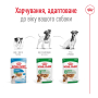 Купить Mini Adult - влажный корм в соусе для взрослых собак мелких размеров (от 10 месяцев)