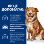 Купить PD Derm Complete Сухой корм для собак при пищевой аллергии и атопическом дерматите