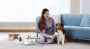 Кипити Pet Grooming G1Pro Набір для грумінгу