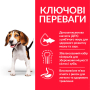 Кипити SP Puppy Medium Breed Lamb & Rice Сухий корм з ягням та рисом для цуценят середніх порід