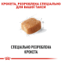 Кипити Dachshund Adult - сухий корм для собак породи такса (від 10 місяців)