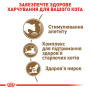 Купить Ageing 12+ Сухой корм для зрелых кошек старше 12 лет