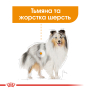 Кипити Coat Care All Size Повнораціонний вологий корм у вигляді паштету для собак різного розміру  із тьмяною та жорсткою шерстю
