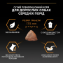 Купить Dog Adult Medium Everyday Nutrion Сухой корм с курицей для взрослых собак средних пород
