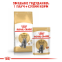 Кипити British Shorthair Adult - сухий корм для котів породи британська короткошерста (від 12 місяців)