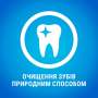 Купить Medium Лакомство для поддержания здоровья полости рта взрослых собак средних пород