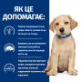 Купить PD Canine Derm Complete Puppy Диетический сухой корм с рисом и яйцом для щенков при пищевой аллергии и атопическом дерматите