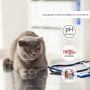 Купить Migliorgatto Sterilized Беззерновые консервы для стерилизованных кошек с голубой рыбой и креветками