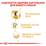 Кипити Labrador Retriever Adult - сухий корм для дорослих собак породи Лабрадор-ретрівер (від 15 місяців)