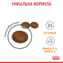 Купить Hair & Skin Care - сухой корм поддерживает эластичность кожи и красоту шерсти у кошек (от 12 месяцев)