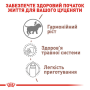 Кипити Babydog milk - замінник молока для цуценят