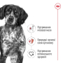 Купить Medium Adult - сухой корм для взрослых собак средних пород (от 12 месяцев)