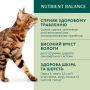 Кипити Adult Cats Rabbit Carrot jelly - вологий корм з кроликом у морквяному желе для дорослих котів