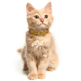 Купить Classic Одинарный кожаный ошейник "Море" для кошек с золотым тиснением, горчица