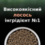 Купить LiveClear Sterilised Salmon Сухой корм для взрослых кошек для уменьшения аллергенов на шерсти и после стерилизации, с лососем