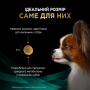 Купить Veterinary Diets EN Gastrointestinal Small&Mini Сухой корм-диета, для лечения кишечных расстройств у щенков и взрослых собак миниатюрных и малых пород