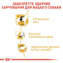 Кипити Beagle Adult - сухий корм для дорослих собак породи Бігль віком від 12 місяців